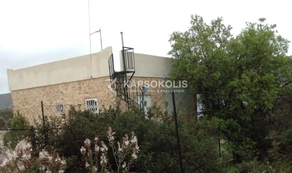 Μονοκατοικία 60 τ.μ. προς ενοικίαση, Στενό Σαλαμίνας