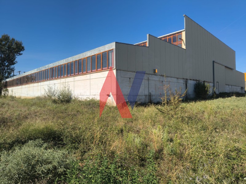 Βιομηχανικός χώρος 2.300 τ.μ. προς πώληση, Διμήνι