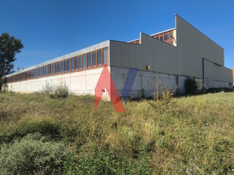 Βιομηχανικός χώρος 2.300 τ.μ. προς πώληση
