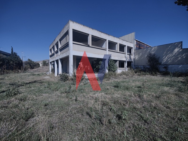 Βιομηχανικός χώρος 2.300 τ.μ. προς πώληση, Διμήνι