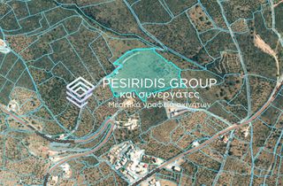Parcel 45.000 sqm for sale