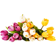 Ανθοπωλείο