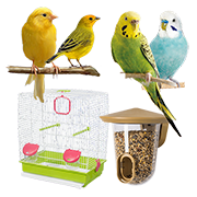 Πουλιά - Πτηνά & Αξεσουάρ