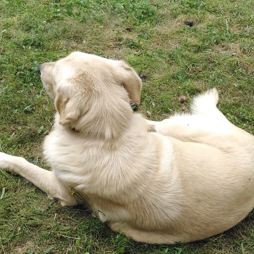 Γιώργος τemeteron