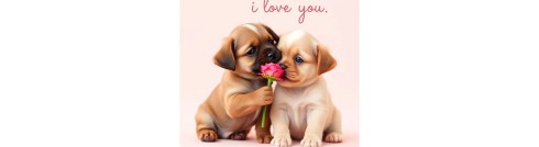 puppy Love ❣️ 🐩🐕🦮🐕‍🦺