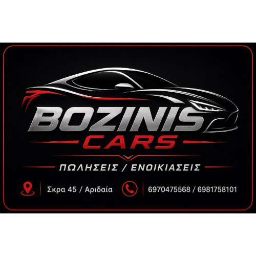 BOZINIS CARS