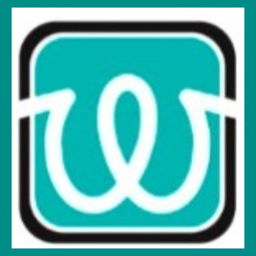 wisdomstores