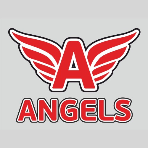 ANGEL GROUP E.E.