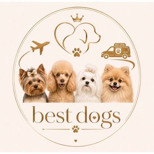Best Dog's