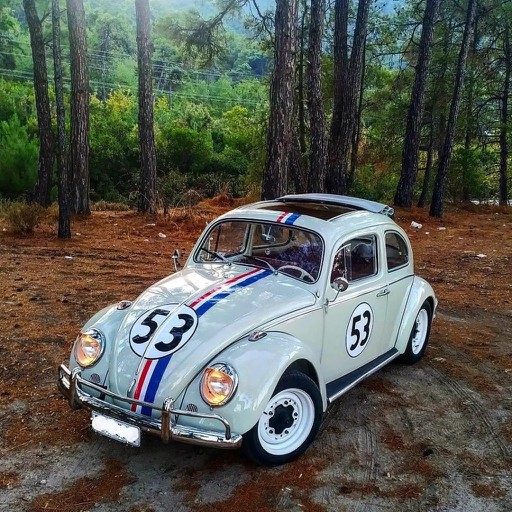 Cars style ntrellias