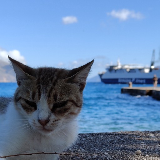 Κωνσταντίνος