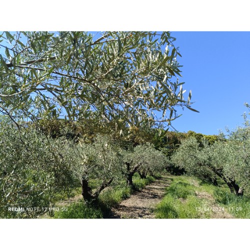 Γιώργος