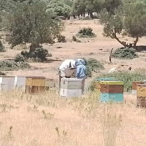 Χρήστος