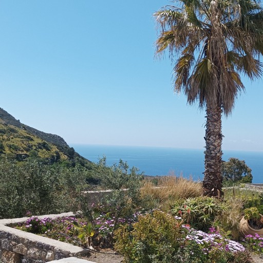 Kostas G